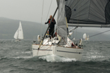 animal gbr1952l whw12 wed gjmc 2872